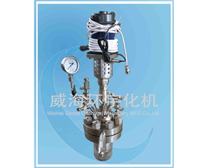 0.5L 微型反應(yīng)釜